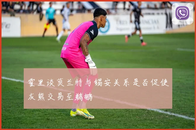 霍里谈莫兰特与锡安关系是否促使灰熊交易至鹈鹕