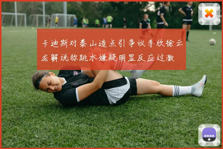 卡迪斯对泰山造点引争议李欣徐云龙解说称跳水嫌疑明显反应过激